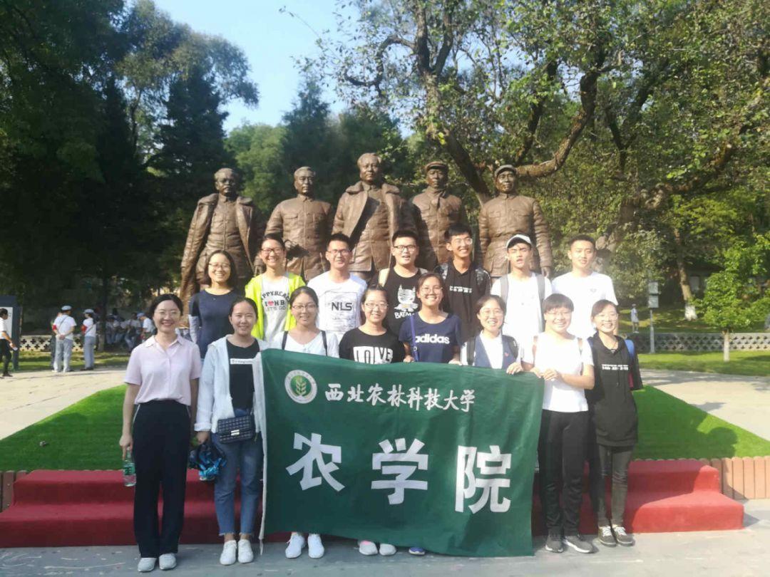 超级坦克联盟